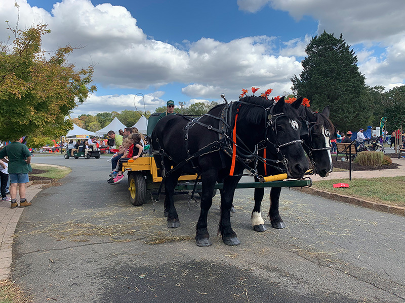 Hayrides – Harmon's Carriages