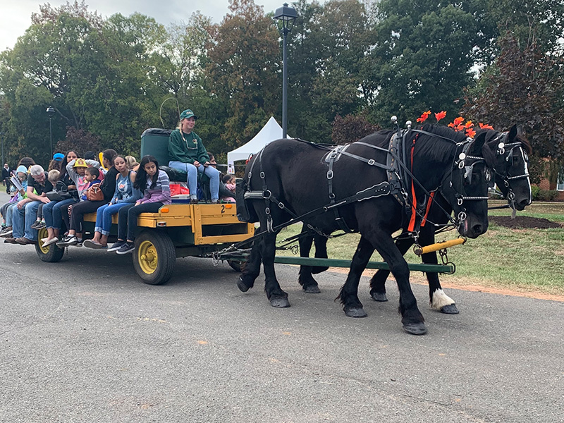 Hayrides – Harmon's Carriages