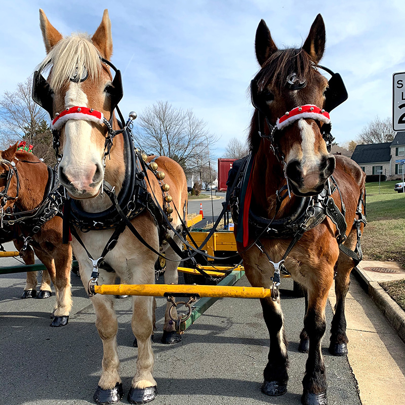 Hayrides – Harmon's Carriages