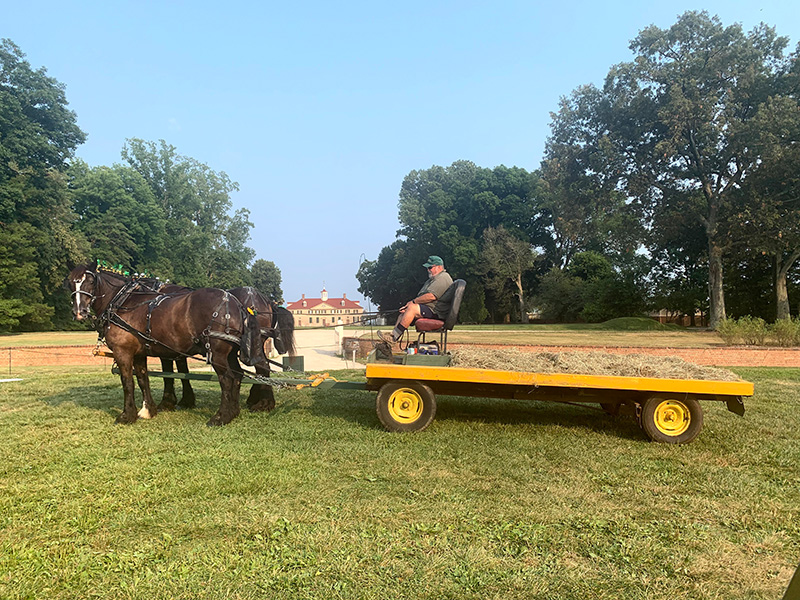 Hayrides – Harmon's Carriages